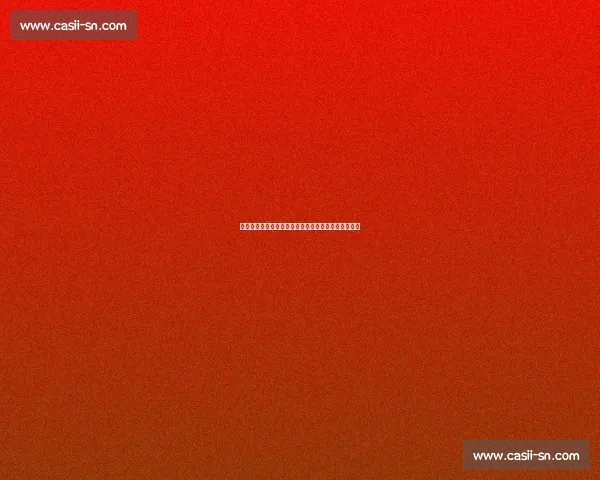 托蒂期待罗马下赛季重返欧冠：这将是决定命运的一年